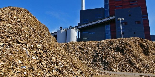 The great biomass swindle